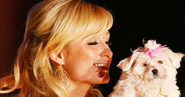 Pieskie życie Paris Hilton