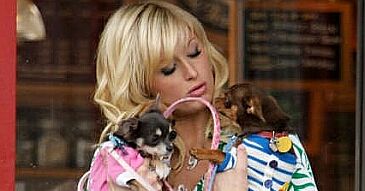Paris Hilton i Nicole Richie o swojej kłótni