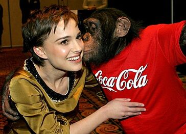 Natalie Portman lubi zwierzęta