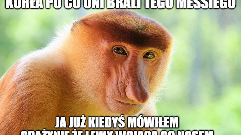 Zdjęcie okładkowe artykułu: 