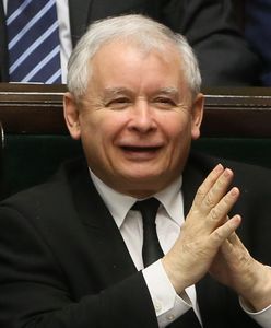 Kaczyński królem ekonomii. Dziennikarz nie wytrzymał: naprawdę?