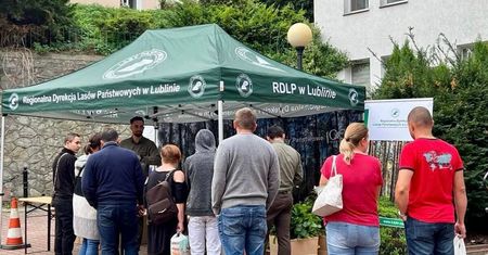 Świerk, olcha, buk, brzoza oraz sosna – leśnicy znów będą rozdawać sadzonki drzew w Lublinie [SZCZEGÓŁY AKCJI]