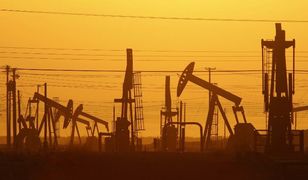 Cena ropy rośnie