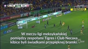 #dziejesiewsporcie: Piękny gol Gignaca w lidze meksykańskiej