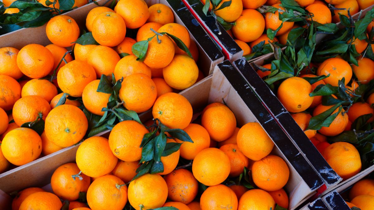 Czym różnią się mandarynki od klementynek?