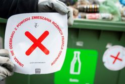 Segregacja odpadów. Znalazłeś taką naklejkę na swoim kontenerze? Możesz sporo zapłacić
