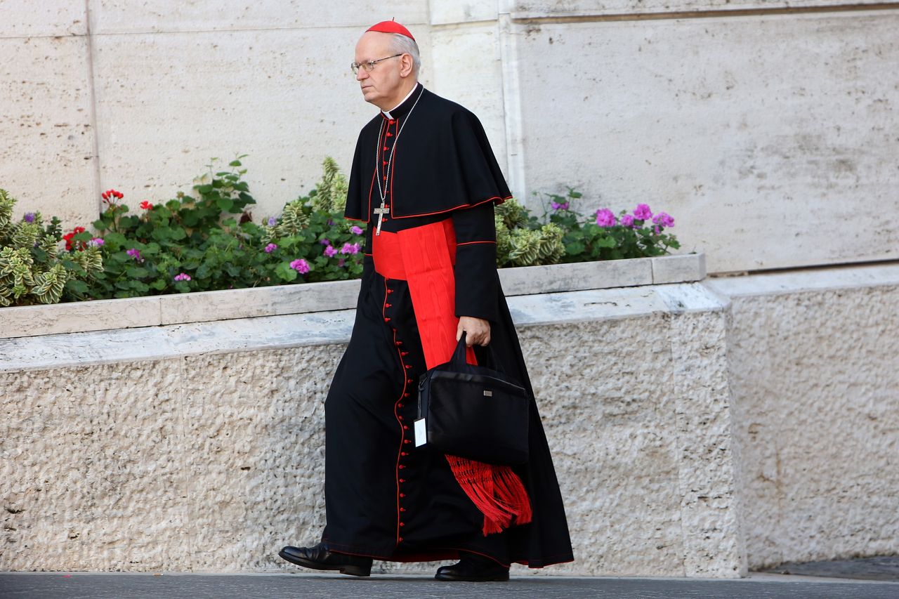Kardinal Erdő dementiert geheime Abmachungen vor Papstwahl