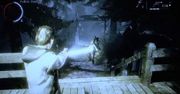 Rozgrywka: Alan Wake