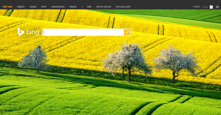Bing pokaże prawa autorskie obrazów i pomoże zrobić zakupy