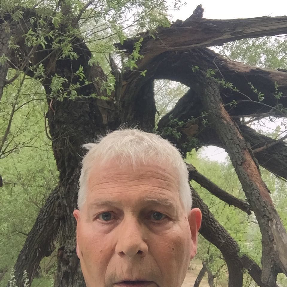 Obrazek
