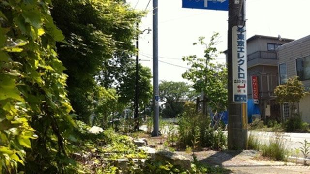 Jak wygląda Fukushima rok po atomowej katastrofie? 1