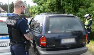 Wpadł podczas kontroli. Wiózł 11 nielegalnych imigrantów