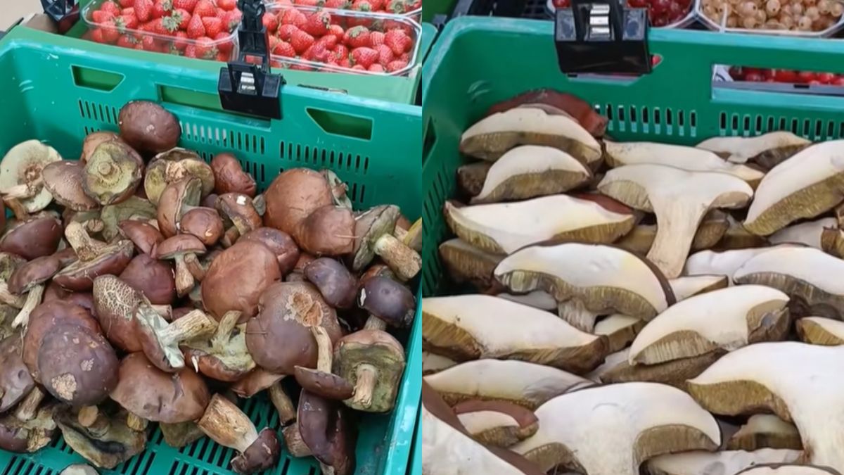 Pokazał nagranie z bazarku w Warszawie.