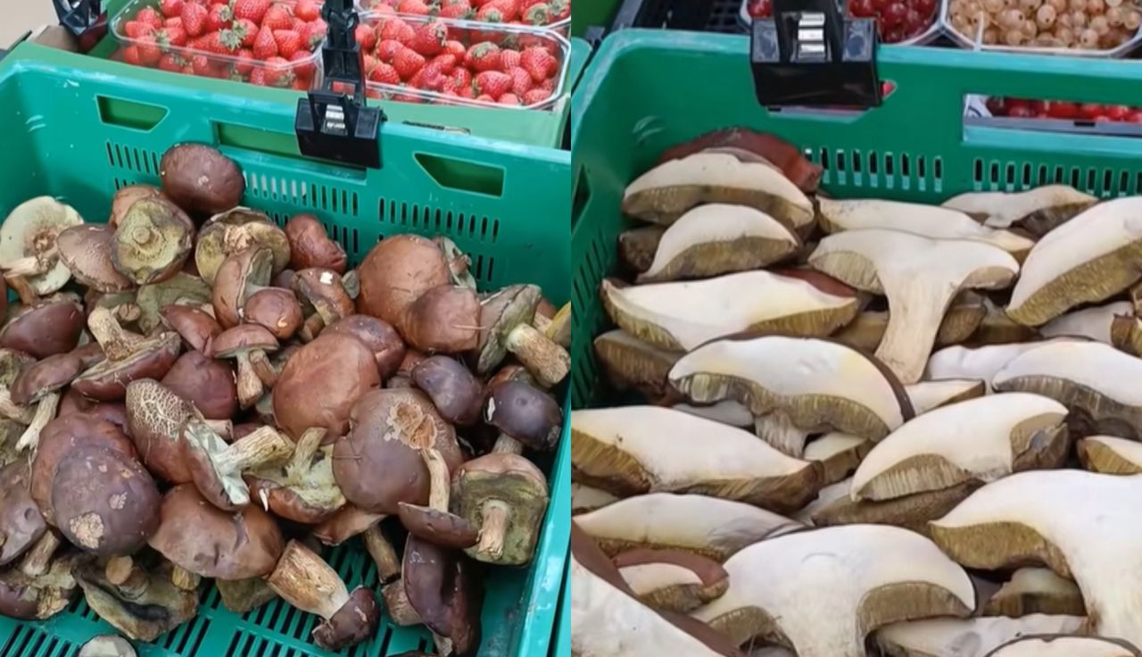 Poszedł na bazar w Warszawie. Nagle aż chwycił za telefon