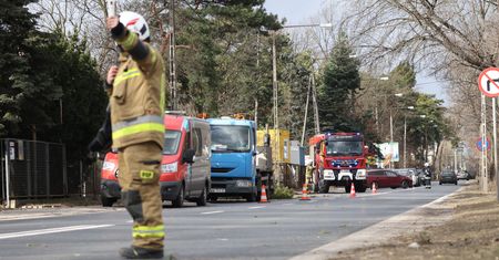 Zamknięte cmentarze, zoo i molo. Jest apel do mieszkańców