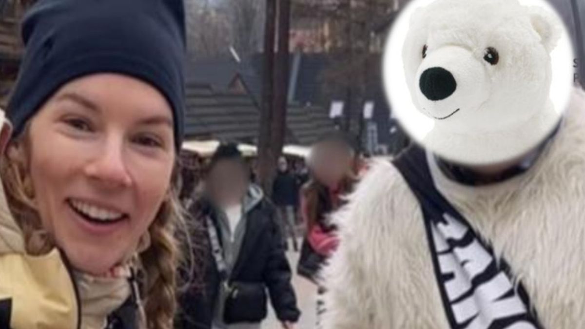 Miś stał się hitem Internetu