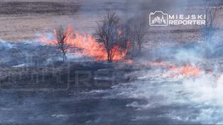 Warszawa: Duży pożar traw pod miastem. Ogień buchał na kilka metrów
