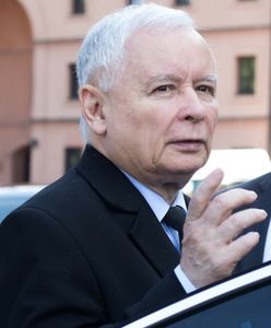 Prof. Pacześniak: PiS musi uciekać konkurencji. Zaczyna mu deptać po piętach