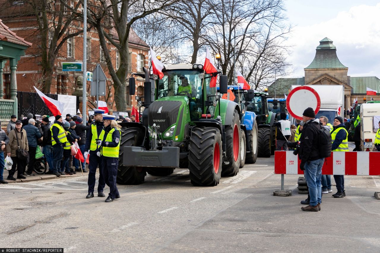 Polska zalana ukraińskim zbożem. "Problem jest ogromny"