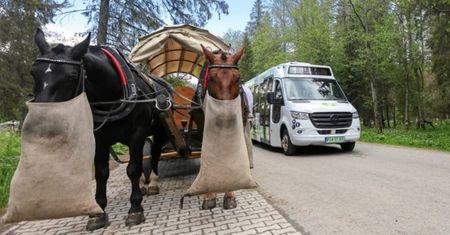 Konie zostają nad Morskim Okiem. Ekolodzy są oburzeni i podają rząd Tuska