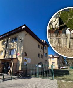 Niepokoje w Czerwonym Borze. Czy to migranci cofnięci z Niemiec? Urząd wyjaśnia