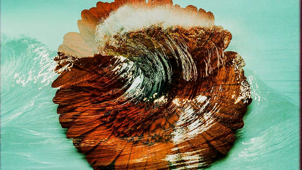 Sztuka surferska - zobacz podwójne ekspozycje Aarona Checkwooda 1