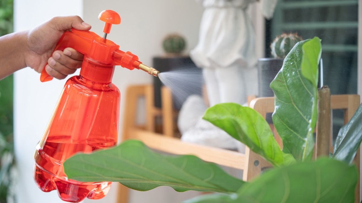 Pielęgnacja kwiatów