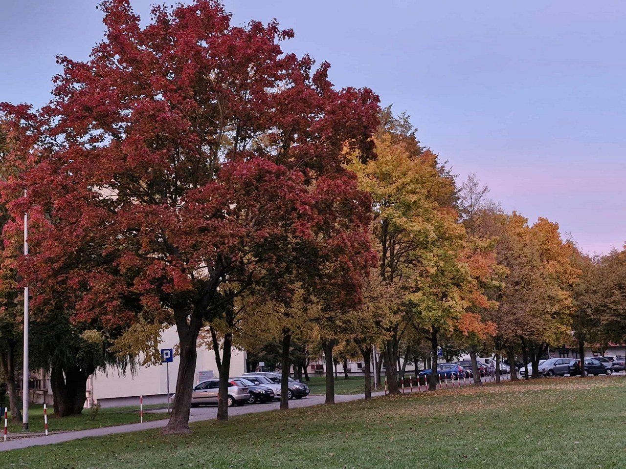 Jesienne wieczory w Zduńskiej Woli bywają zaskakujące. Zdobią miasto