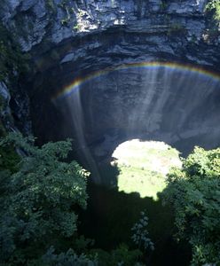 Tajemnicze zapadlisko z własnym lasem w Chinach. Mogą tam żyć nieznane nauce gatunki
