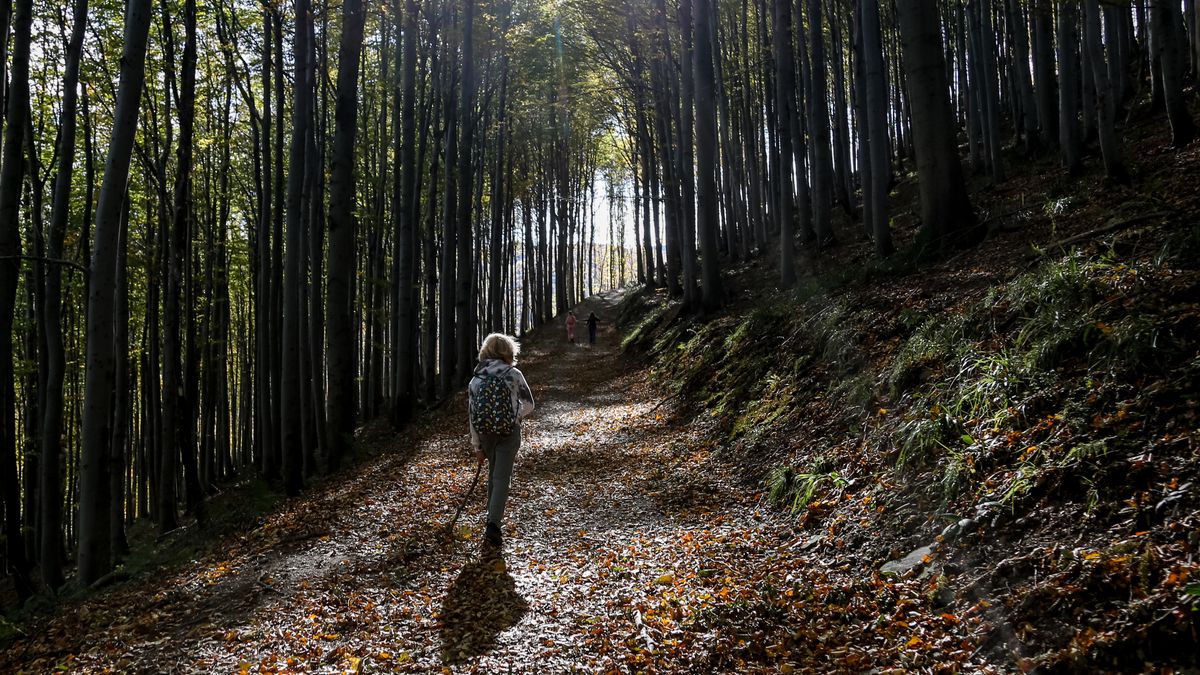 Warunki na szlakach w Beskidach