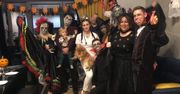 Uczestnicy "Ślubu od pierwszego wejrzenia" krytykowani za imprezę halloweenową: "A gdzie tu dystans społeczny?"