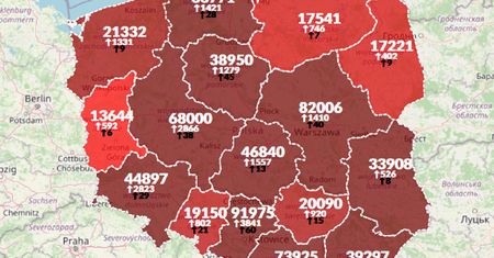 Koronawirus w Polsce. 24 051 nowych przypadków. Ponad 400 zgonów [Aktualna mapa zakażeń]