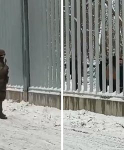 Nietypowy komunikat Straży Granicznej ws. granicy z Białorusią