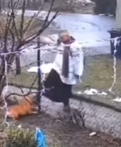 Ksiądz kopał psa. Skończył z niewielką grzywną