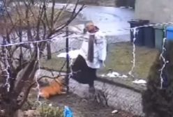 Ksiądz kopał psa. Skończył z niewielką grzywną