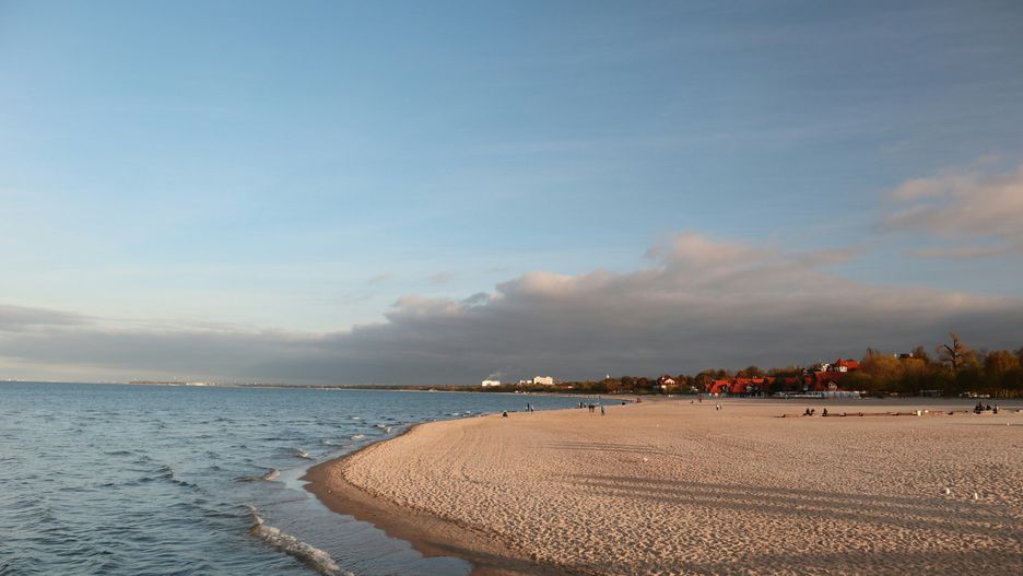 Wybory samorządowe 2024.