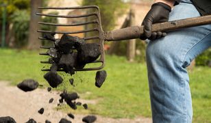 Ile kosztuje tona węgla? Sprawdziliśmy ceny w sklepie PGG