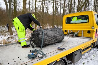 Rakieta Muska nad Polską. Trwa szacowanie szkód