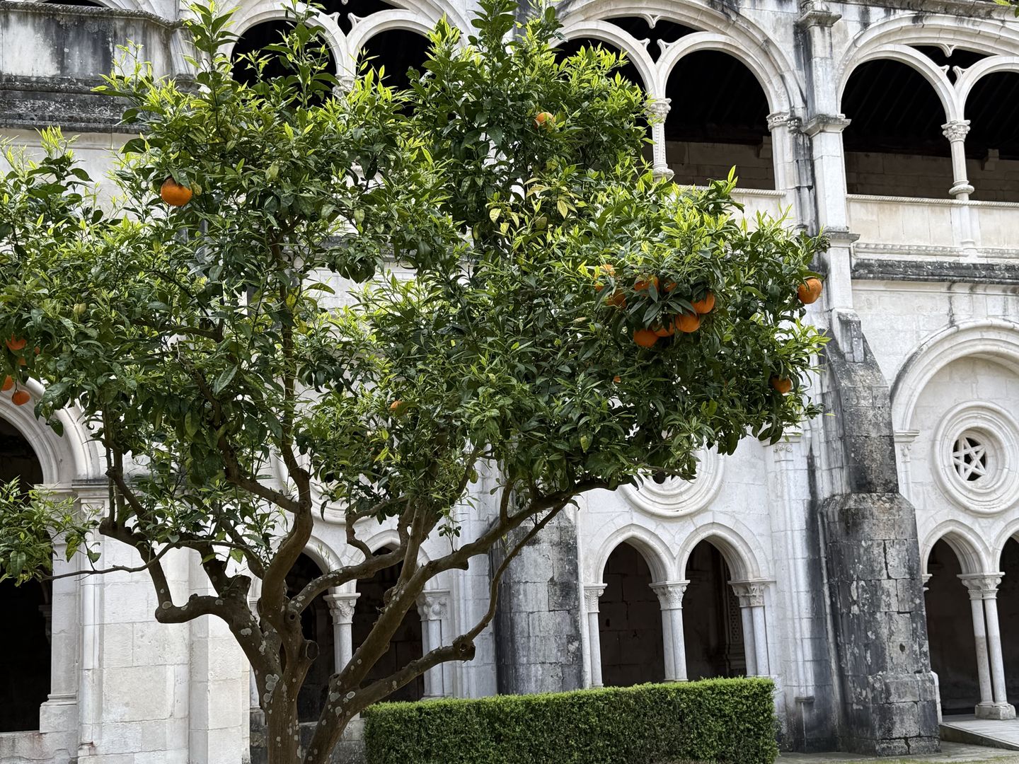 Alcobaça urzeka architekturą