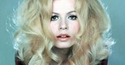 Irena Karel miała u stóp cały świat. Polska Brigitte Bardot kończy 79 lat
