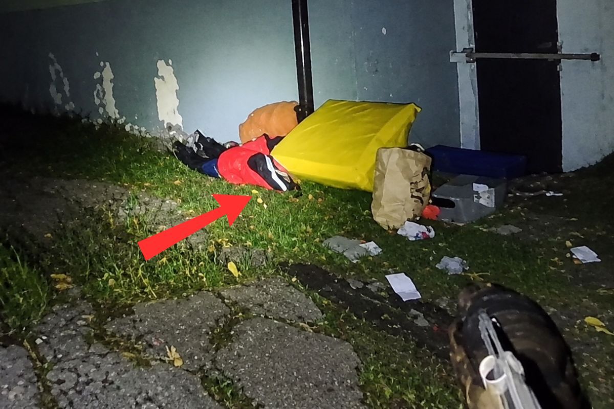 "Pokaż ręce, bo użyję psa!" Policjant się nie wahał. Wszystko nagrano