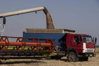 Oto list ws. zboża z Ukrainy. Pięć krajów domaga się interwencji Brukseli