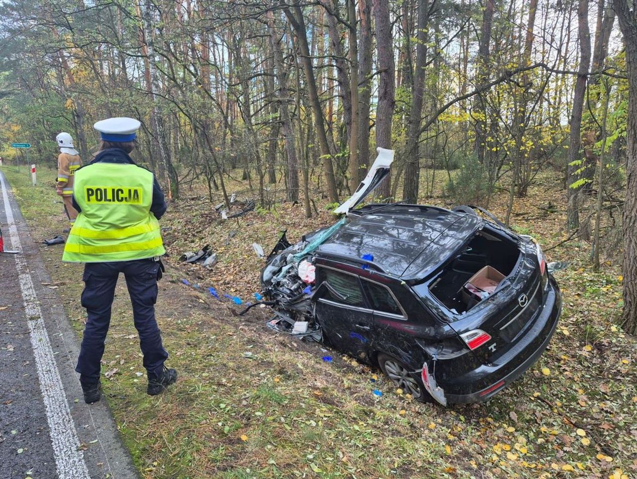 Witaszyn: Mazda uderzyła w drzewo. Kierowca zginął na miejscu