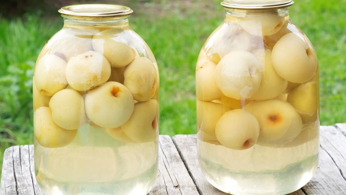 Leniwe papierówki. Zdj. ilustracyjne 