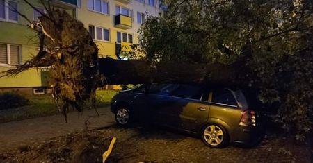 Uwaga na silny wiatr, porywy do 90 km/h. Nie zostawiaj samochodu w pobliżu drzew