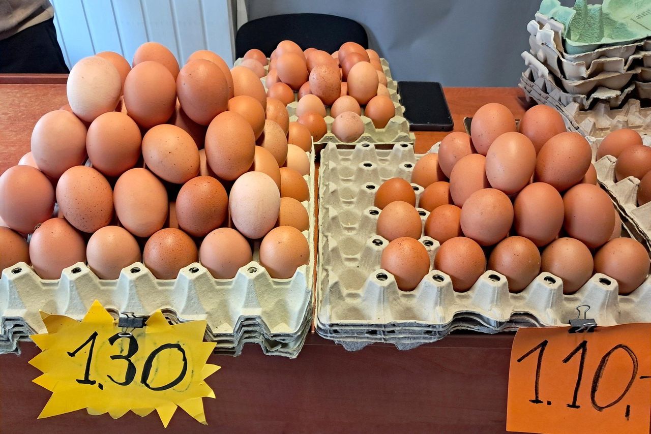 Coś złego dzieje się na rynku jaj. Ministerstwo zabiera głos