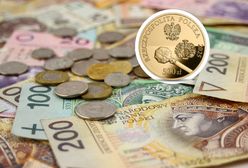 Dwie nowe monety od czwartku w obiegu. Jedna kosztuje 15,5 tys. zł