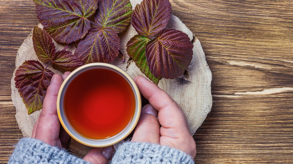 Herbata z liści malin ma działanie prozdrowotne