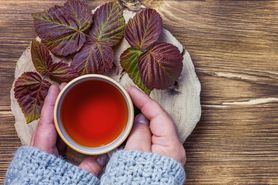 Herbata z liści malin – jak i kiedy ją stosować?