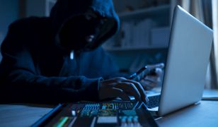 Dzień dobry, twoja domena została porwana